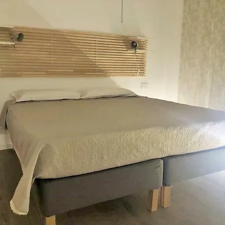 Ibisco Jesi